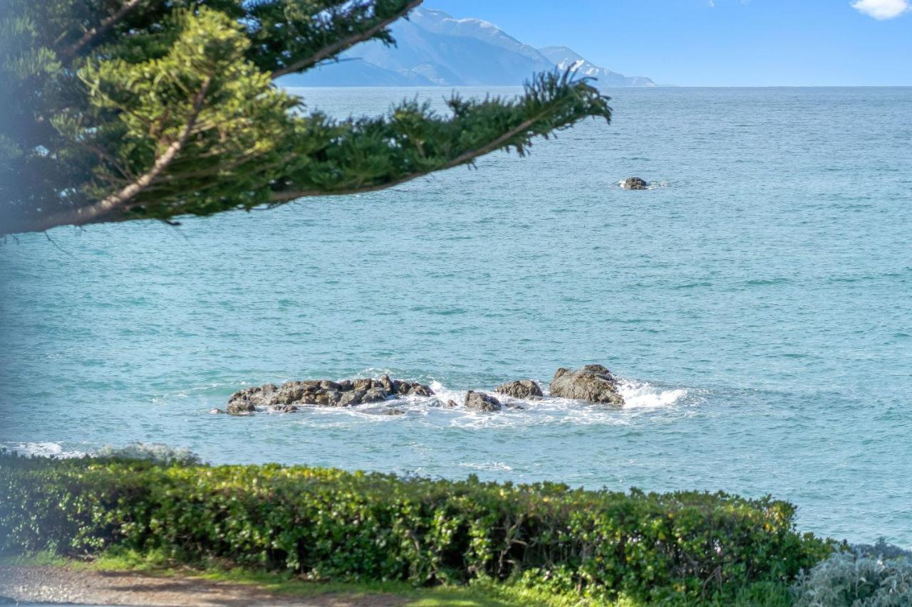 Kaikoura Waterfront Apartments Extérieur photo